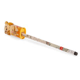 Bear Sweet Bear Temperino con Contenitore - Teddy Bear