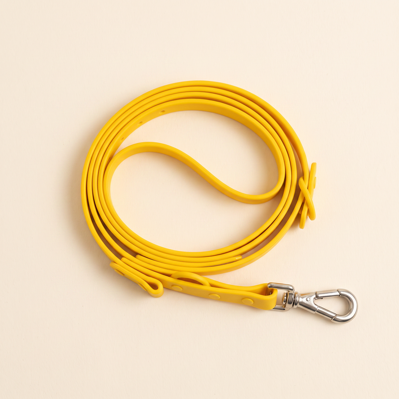 Guinzaglio GIALLO