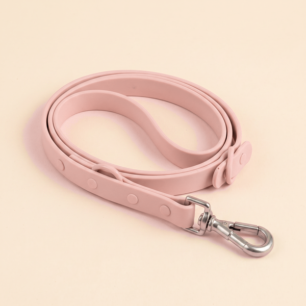 Matching silicone dog lead