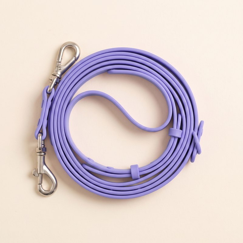 Matching silicone dog lead