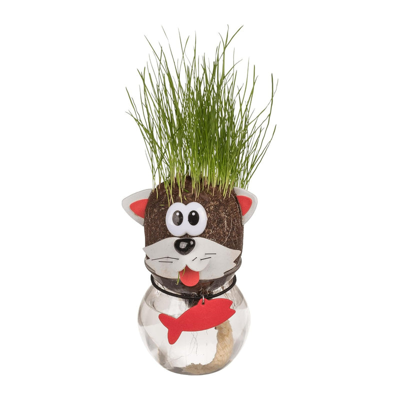 Testa di erba animale, 12,5 cm, confezione in plastica, 16 pezzi - Gatto [rlz-07-n1]