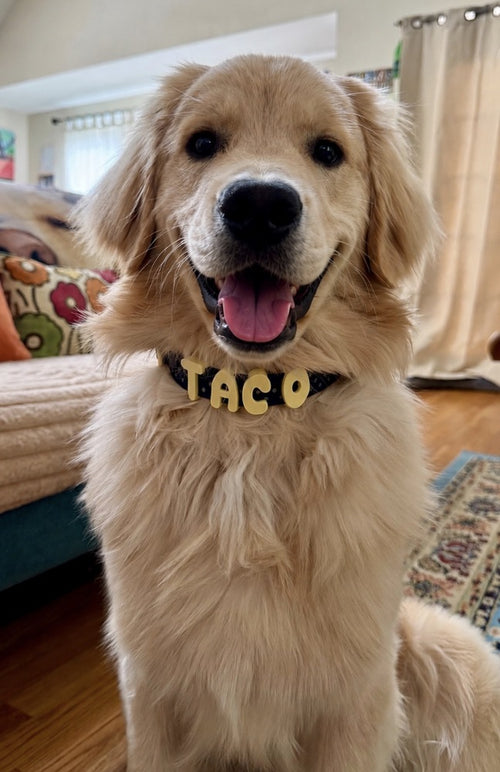 @realizzandoo — Taco
